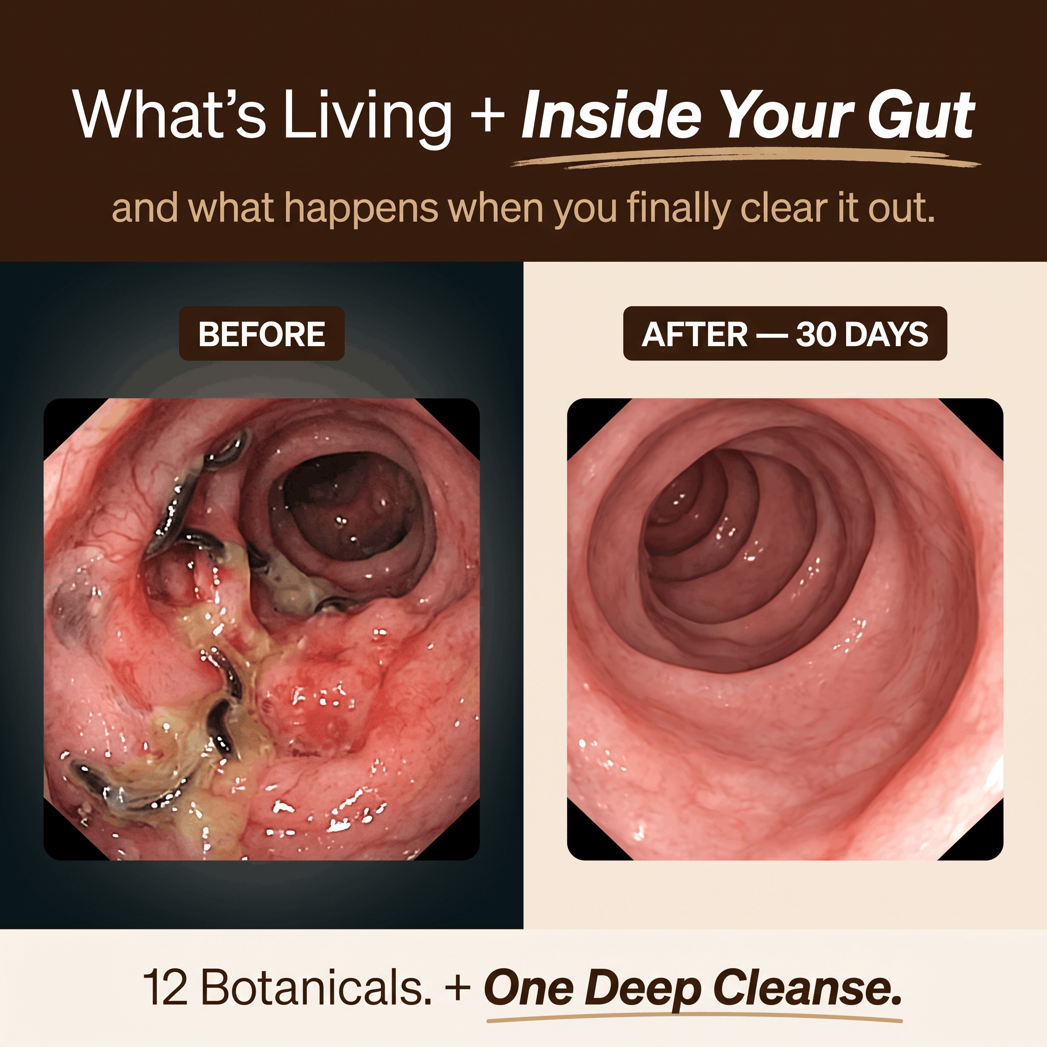 AVEY Botanical Wellness | Feel Like Yourself Again