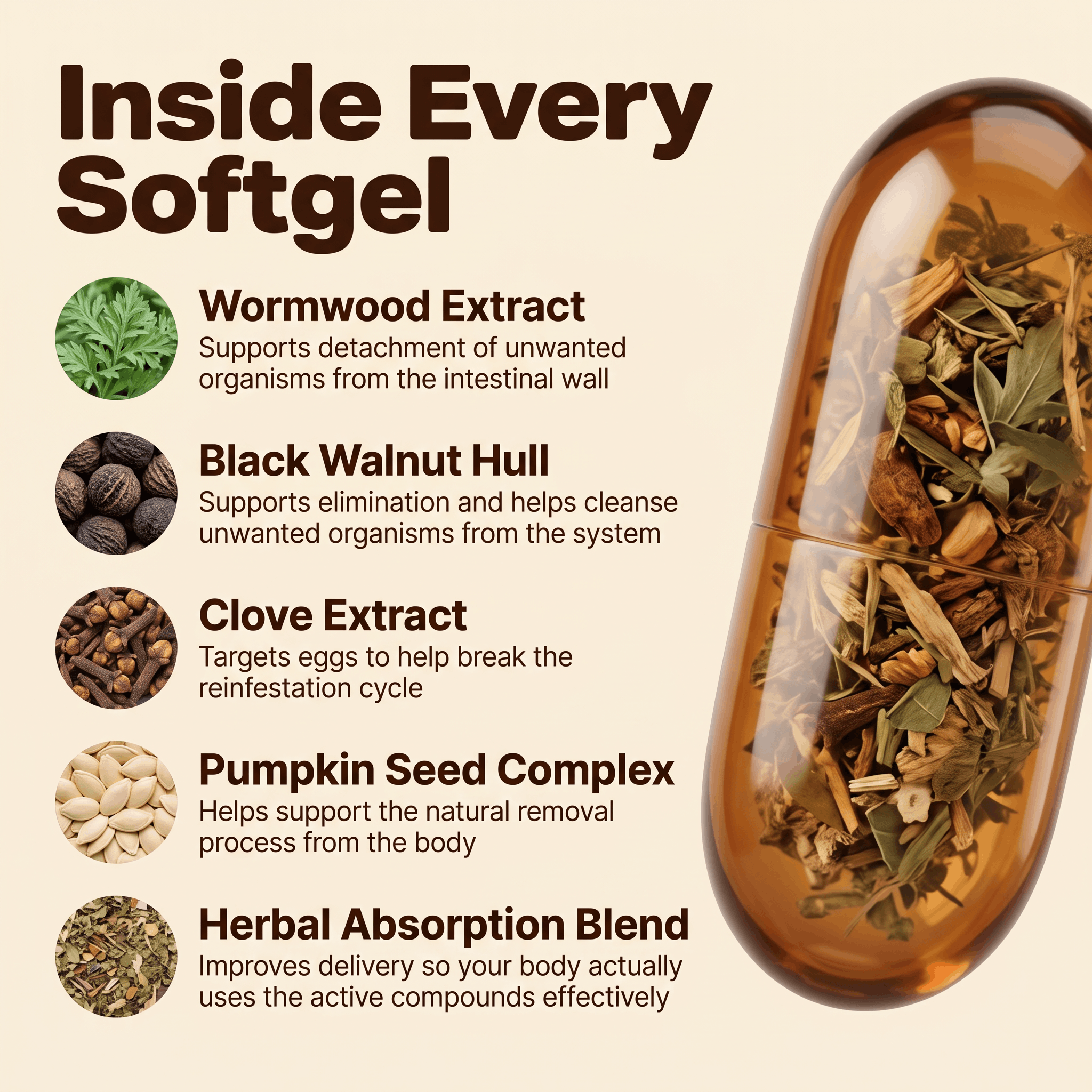 AVEY Botanical Wellness | Feel Like Yourself Again